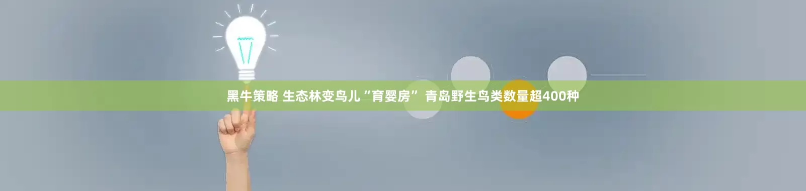 黑牛策略 生态林变鸟儿“育婴房” 青岛野生鸟类数量超400种