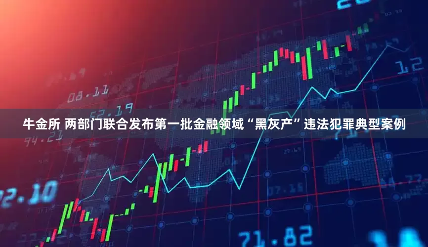 牛金所 两部门联合发布第一批金融领域“黑灰产”违法犯罪典型案例