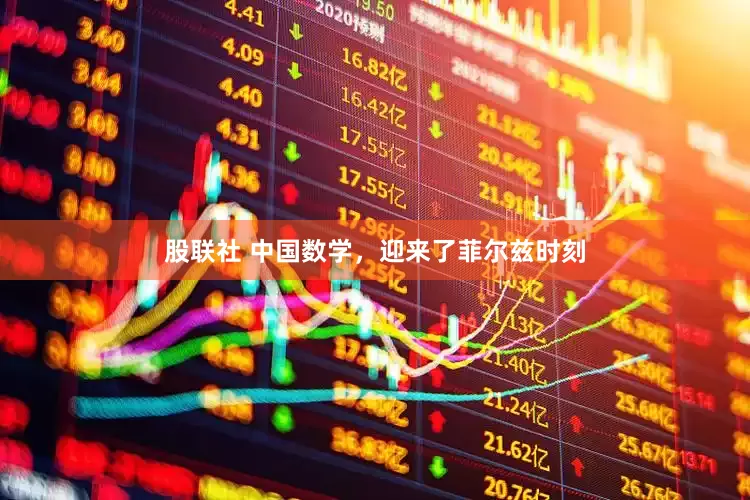 股联社 中国数学，迎来了菲尔兹时刻