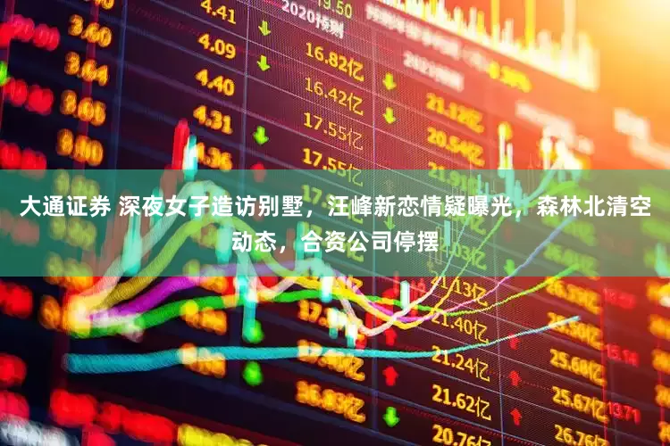 大通证券 深夜女子造访别墅，汪峰新恋情疑曝光，森林北清空动态，合资公司停摆